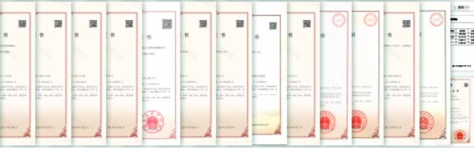 Spot-Removing and Repairing Essence