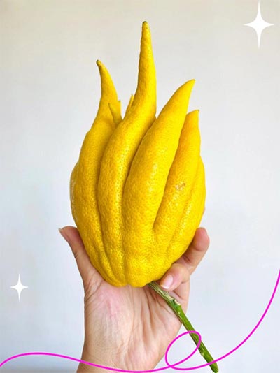 Soothing Eye Repair Serum